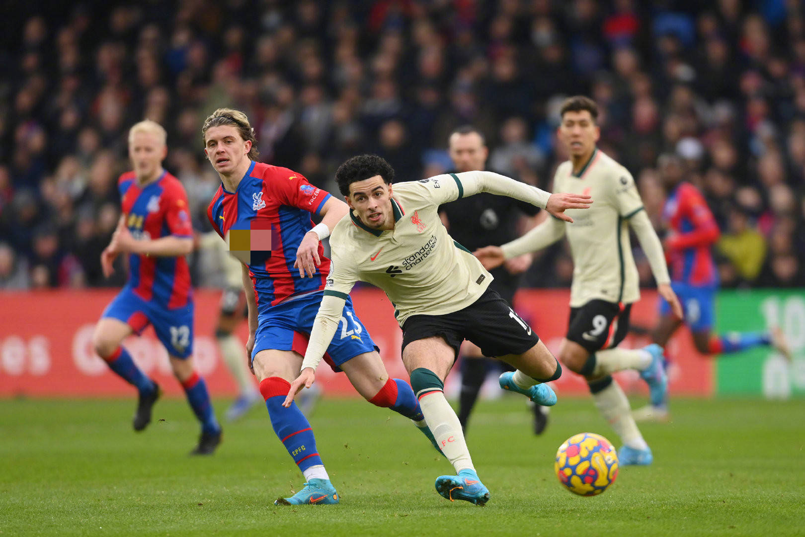 变化埋下了 变化埋下了